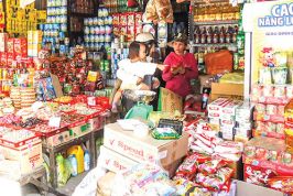 Mekong Delta sees slow progress in upgrade of trading households into companies