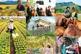 Nâng cao hiệu quả hỗ trợ sản xuất kinh doanh tại các xã nghèo tỉnh Cao Bằng
