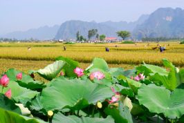 Bắc Ninh: Duy trì áp dụng ISO tạo môi trường đầu tư thông thoáng