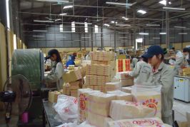 Hiệp hội Doanh nghiệp tỉnh Yên Bái: “Cầu nối” gỡ khó cho doanh nghiệp