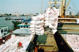 Xuất khẩu gạo: Nhiều rào cản khiến doanh nghiệp hoang mang