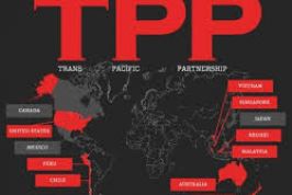 MÔ HÌNH TPP: CƠ HỘI VÀ THÁCH THỨC VỚI DOANH NGHIỆP VIỆT NAM