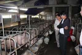 Thừa Thiên-Huế: Phú Thượng đã hoàn thành 19/19 tiêu chí nông thôn mới trước thời hạn