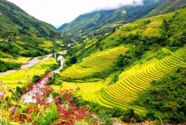 Lạng Sơn: Thực hiện Nghị quyết số 19 của Chính phủ cải thiện môi trường kinh doanh