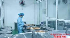 4 năm DDCI Thanh Hóa: Chuẩn bị cho bước chuyển mới
