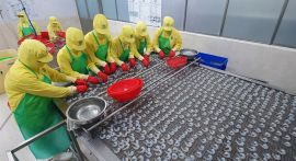 Cà Mau triển khai chương trình cải thiện môi trường kinh doanh năm 2026