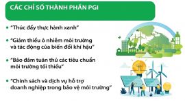 Trách nhiệm trong nền kinh tế xanh