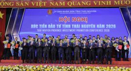 VCCI cam kết luôn đồng hành cùng tỉnh Thái Nguyên trong phát triển kinh tế - xã hội