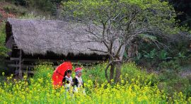 "Luồng gió” mới cho Điện Biên phát triển bền vững