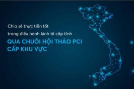 Bản tin PCI Quý 2 năm 2019