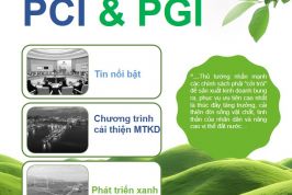 Bản tin PCI Quý 4 năm 2024