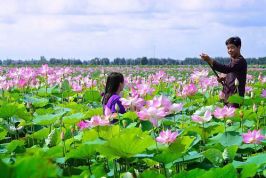 Mở cửa UBND cho du khách, ra mắt sticker chat, địa phương khuất nẻo và thuần nông này đang trở thành một hiện tượng
