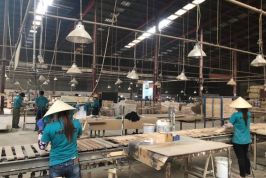 Tạo đột phá cho doanh nghiệp nông nghiệp từ môi trường kinh doanh