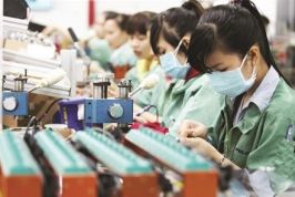 Vì sao doanh nghiệp Việt luôn sợ thất bại?