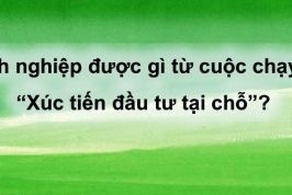 Doanh nghiệp được gì từ cuộc chạy đua “Xúc tiến đầu tư tại chỗ”?