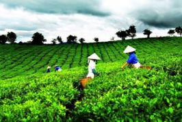 Thái Nguyên: Bàn và tháo gỡ các khó khăn, vướng mắc cho doanh nghiệp