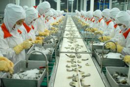 Doanh nghiệp vùng ĐBSCL: Chuyển đổi để thích ứng