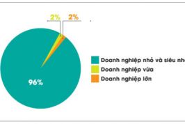 Giữ quy mô siêu nhỏ - Doanh nghiệp khó cạnh tranh