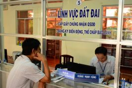 Chỉ số năng lực cạnh tranh cấp tỉnh của Cà Mau dần được nâng cao