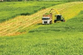 Quảng Ninh hút đầu tư vào nông nghiệp, liệu có “trên trải thảm, dưới rải đinh”?