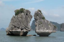 Quảng Ninh: Đi trước đón đầu