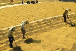 Trà Vinh: Tháo gỡ khó khăn để tạo môi trường đầu tư thông thoáng