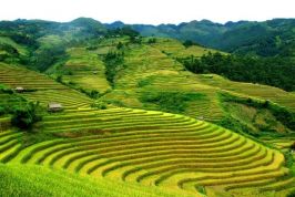 Điện Biên đẩy mạnh thu hút đầu tư
