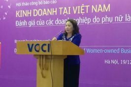 Cảm nhận về môi trường kinh doanh: Nỗi nhọc nhằn của nữ doanh nhân
