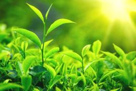 Thái Nguyên: Chính quyền kiến tạo – doanh nghiệp sáng tạo