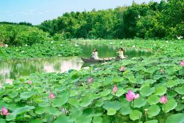Không dự án tỷ đô Đồng Tháp vẫn xếp hạng cao về năng lực cạnh tranh