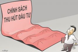 Đầu tư “trên thảm, dưới đinh”