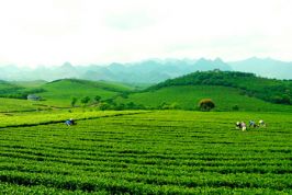 THÁI NGUYÊN: TỈNH ĐẦU TIÊN TỔ CHỨC HỘI NGHỊ NÂNG CAO PCI 2016