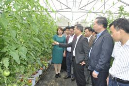 Lào Cai: Bí quyết để luôn đứng TOP đầu cải thiện môi trường đầu tư