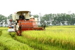Quảng Trị phát huy đoàn kết để vững mạnh