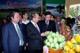 “NHỮNG CON SẾU ĐẦU ĐÀN HÃY VÀO ĐỒNG THÁP”