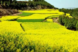 Thái Bình khởi động làn sóng mới về cải thiện môi trường kinh doanh