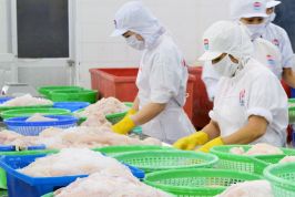 Bến Tre: Chuẩn bị hạ tầng “đón” nhà đầu tư