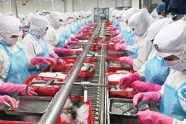 Bao bọc doanh nghiệp lớn sẽ hạn chế cạnh tranh