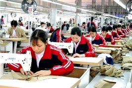 Doanh nghiệp tư nhân lép vế trong cạnh tranh