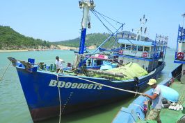 Dự Luật Thủy sản vẫn... đánh đố DN