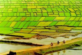 Hội thảo hướng tới đánh giá về khu vực ĐBSCL với nỗ lực cải thiện môi trường kinh doanh để phát triển doanh nghiệp.