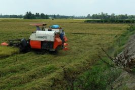 Vĩnh Long: Cải thiện môi trường kinh doanh để phát triển kinh tế tư nhân