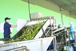 Ninh Thuận: Đẩy mạnh giải pháp nâng cao chỉ số PCI