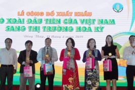 Đồng Tháp: Ấp ủ “ngôi làng thông minh”
