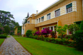 Lâm Đồng: Cà phê doanh nhân: Ngồi xuống uống cà phê, đứng dậy gỡ khó khăn