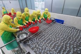 Cà Mau triển khai chương trình cải thiện môi trường kinh doanh năm 2026