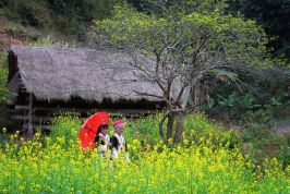 Điện Biên: Nhà đầu tư như “chim mồi”
