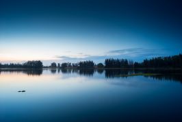 Bình Thuận: Phấn đấu Chỉ số PCI của tỉnh nằm trong top 20 cả nước