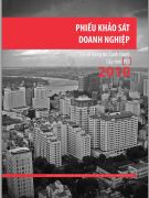 Phiếu khảo sát doanh nghiệp dân doanh 2010 mẫu B