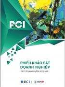 Phiếu khảo sát doanh nghiệp dân doanh 2017 mẫu B